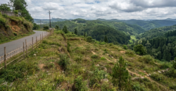 Land in upper shillong is for sale