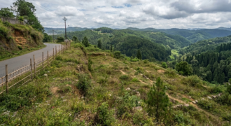 Land in upper shillong is for sale