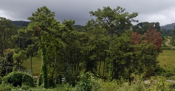 land for sale in Shillong Mawtawar
