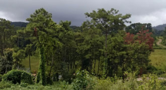 land for sale in Shillong Mawtawar