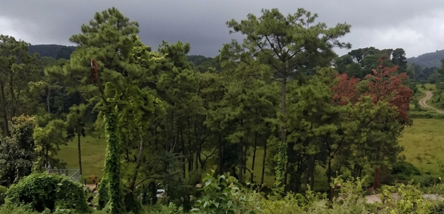 land for sale in Shillong Mawtawar