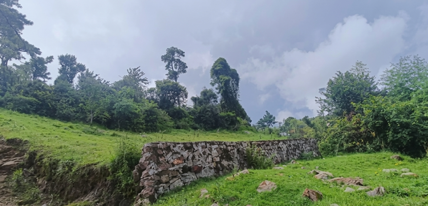 Land for sale